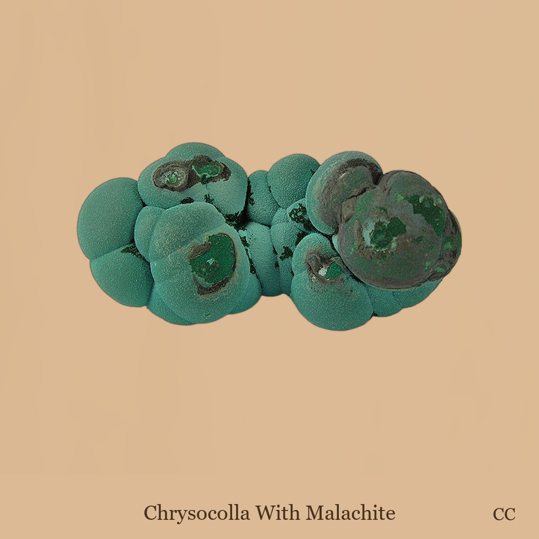 Chrysocolla with Malachite specimen
